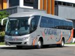 Marcopolo Viaggio G7 900 2010 года